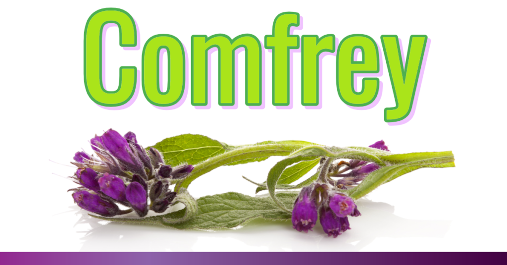 Comfrey