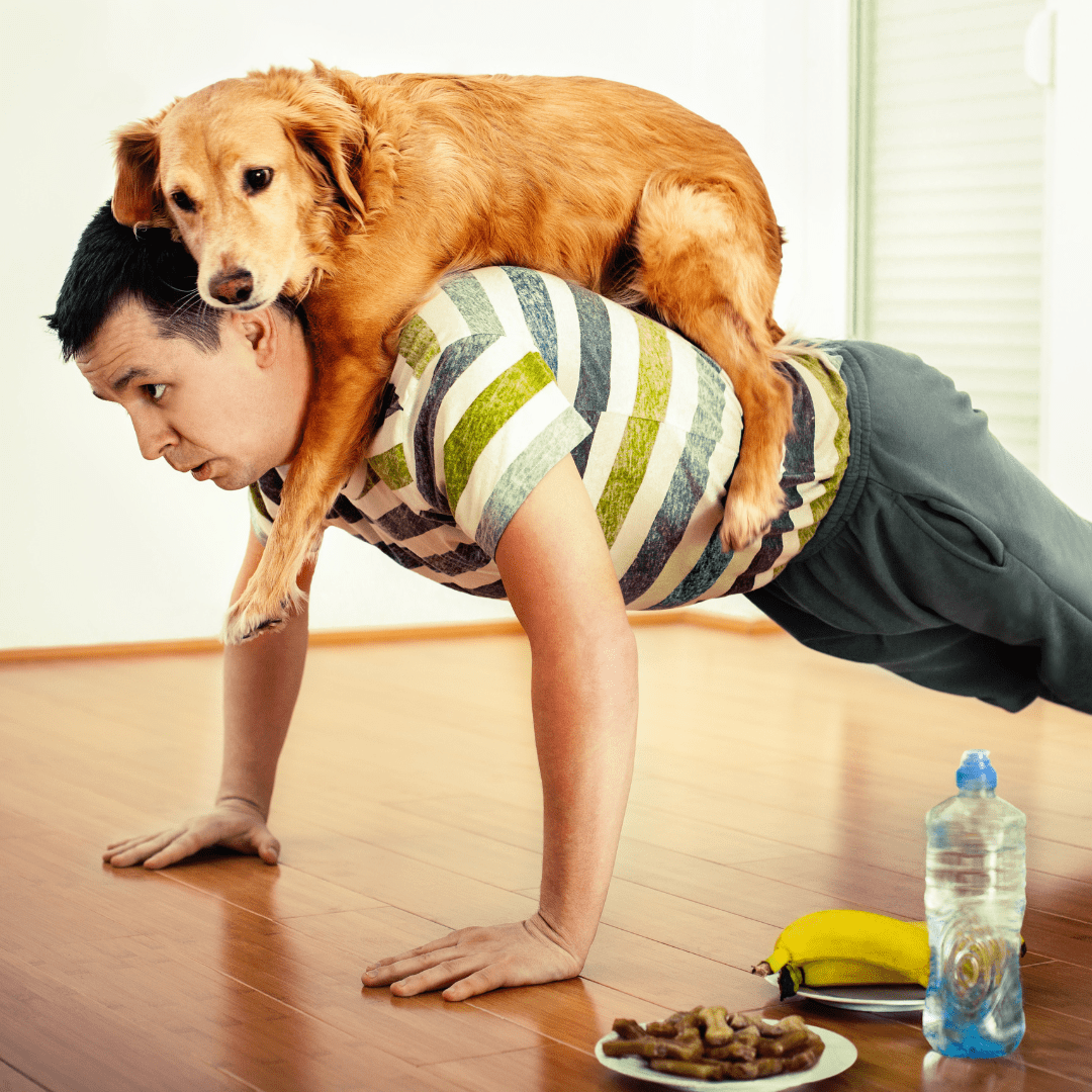 This is a silly image of a man doing pushups with his dog on his back. It is meant to serve as a way to inspire the reader to find their own motivation.