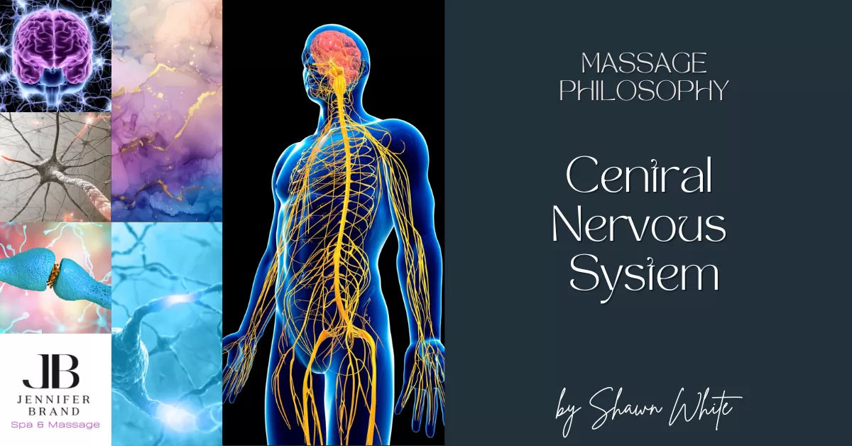 Central Nervous System